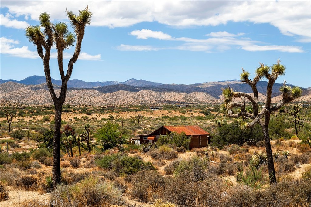2680 Vine, Pioneertown, CA 92268