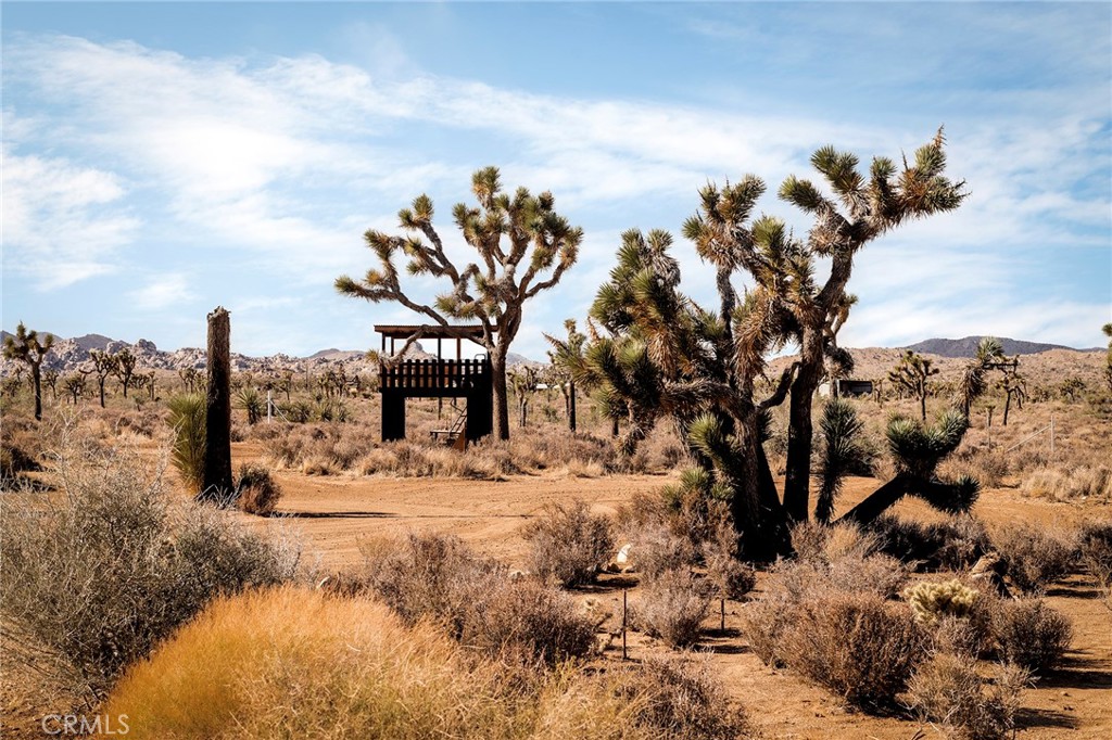 2680 Vine, Pioneertown, CA 92268