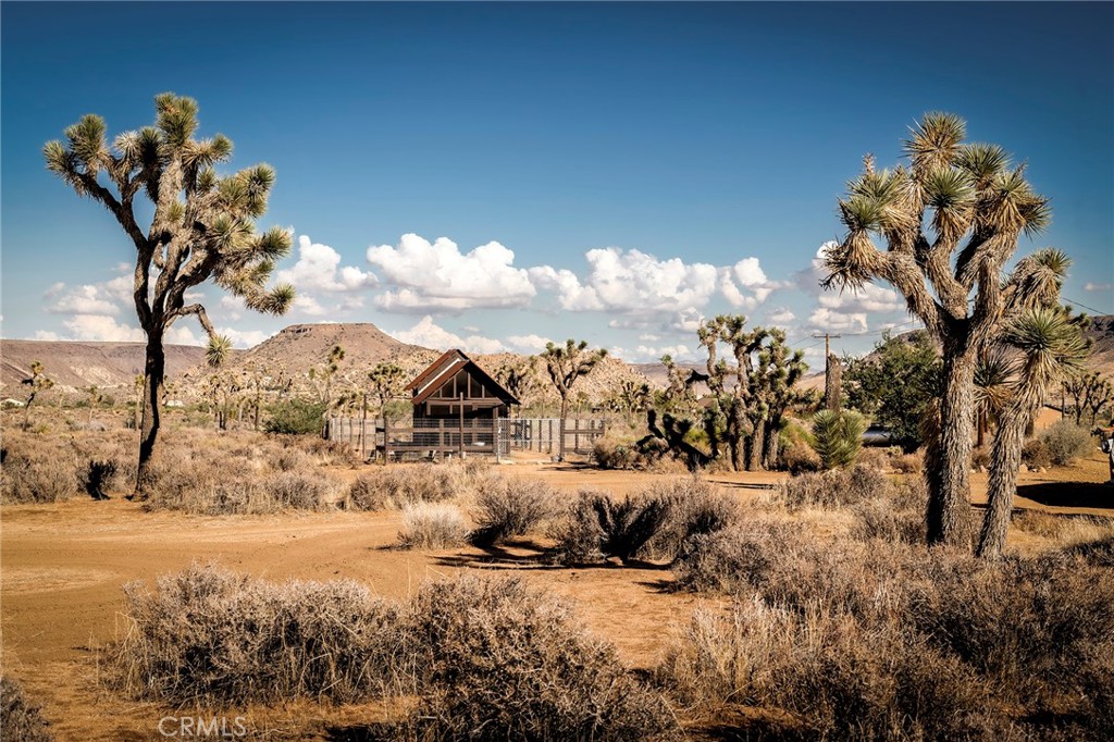2680 Vine, Pioneertown, CA 92268