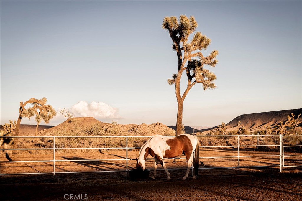 2680 Vine, Pioneertown, CA 92268