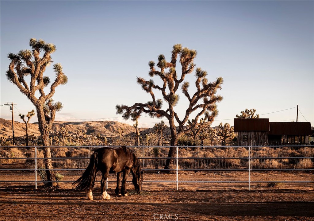 2680 Vine, Pioneertown, CA 92268