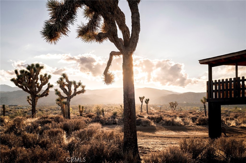 2680 Vine, Pioneertown, CA 92268