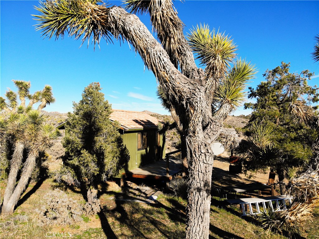1352 Orion Trl, Pioneertown, CA 92268