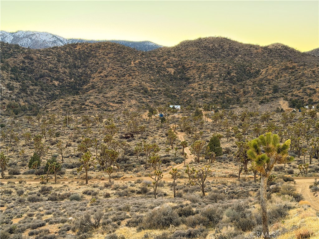 1352 Orion Trl, Pioneertown, CA 92268