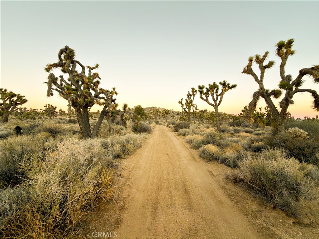 1352 Orion Trl, Pioneertown, CA 92268