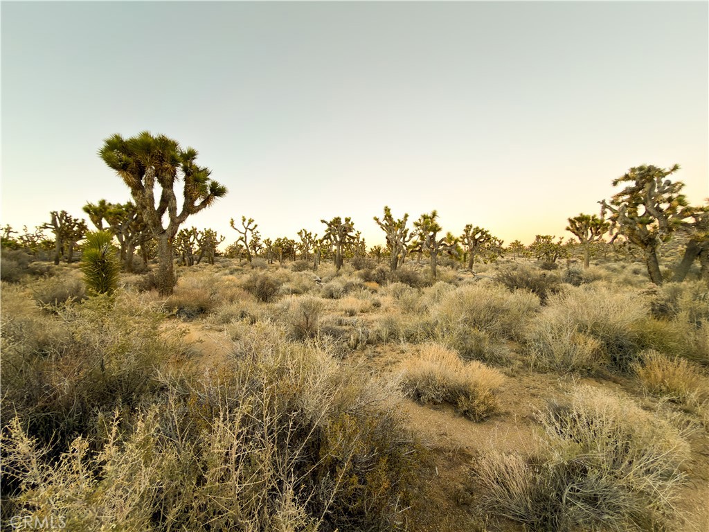 1352 Orion Trl, Pioneertown, CA 92268