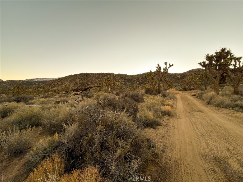 1352 Orion Trl, Pioneertown, CA 92268