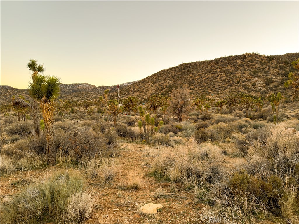 1352 Orion Trl, Pioneertown, CA 92268