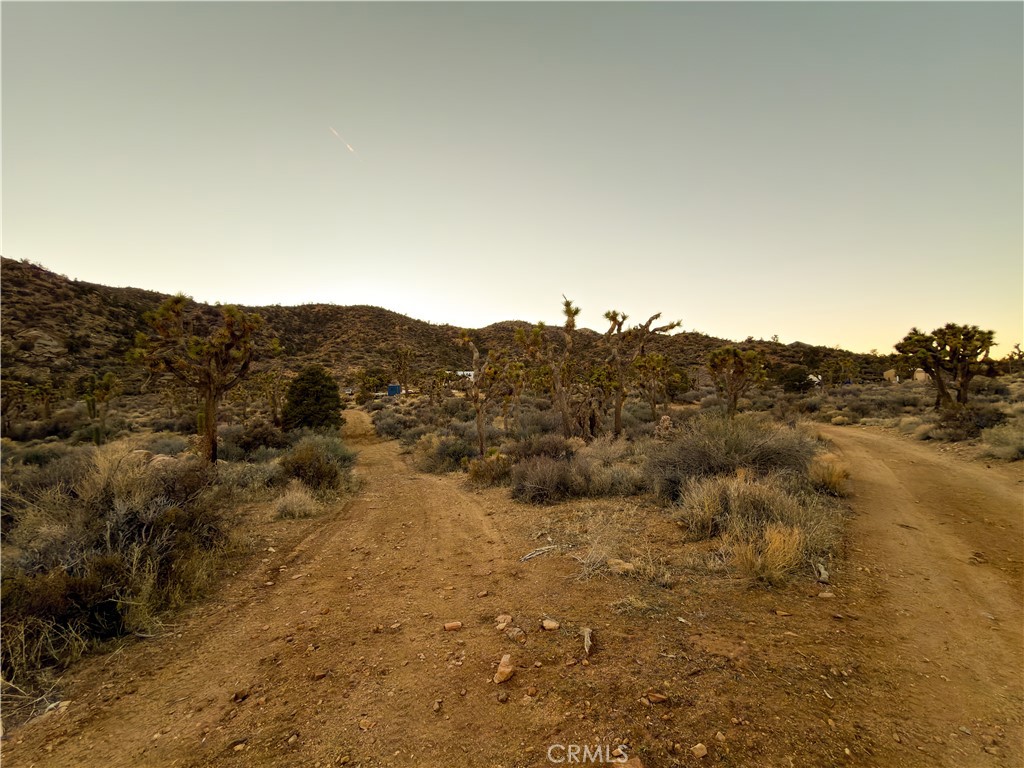 1352 Orion Trl, Pioneertown, CA 92268