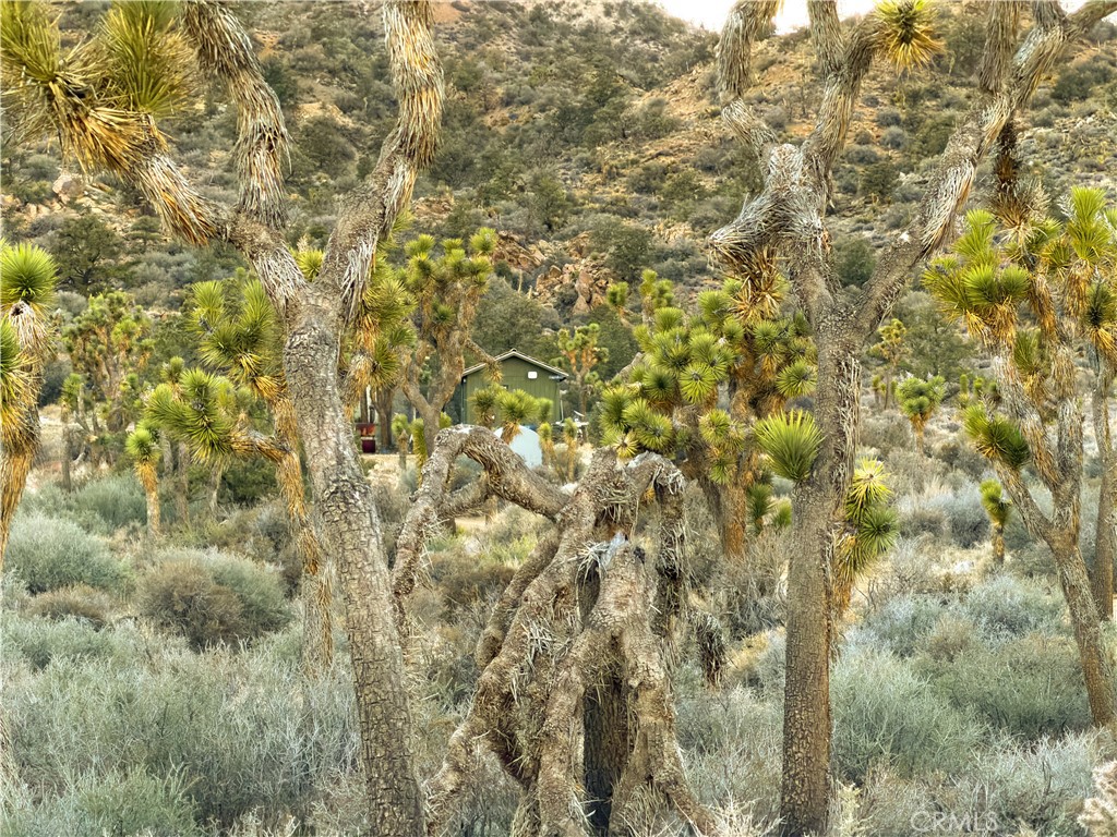 1352 Orion Trl, Pioneertown, CA 92268