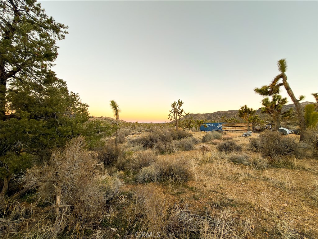 1352 Orion Trl, Pioneertown, CA 92268