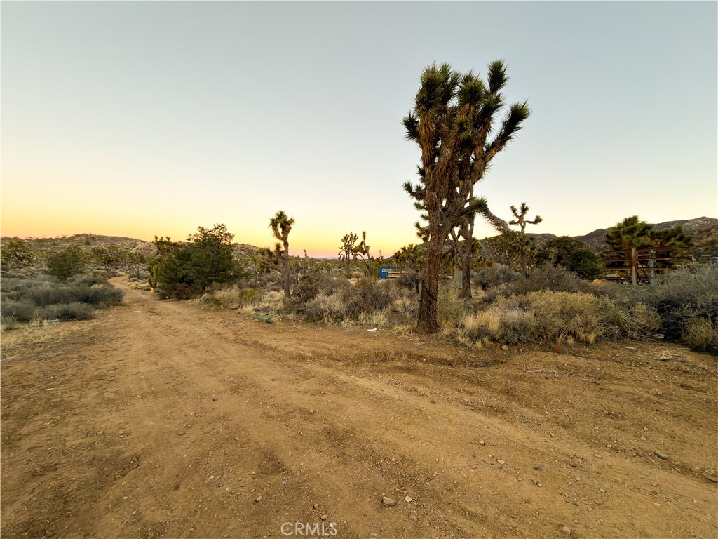 1352 Orion Trl, Pioneertown, CA 92268