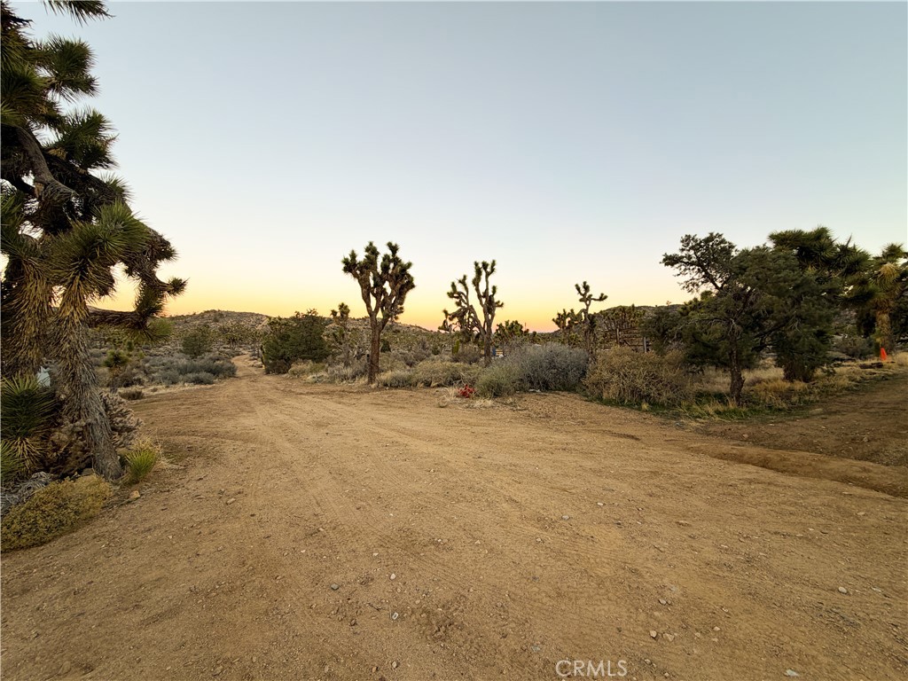 1352 Orion Trl, Pioneertown, CA 92268