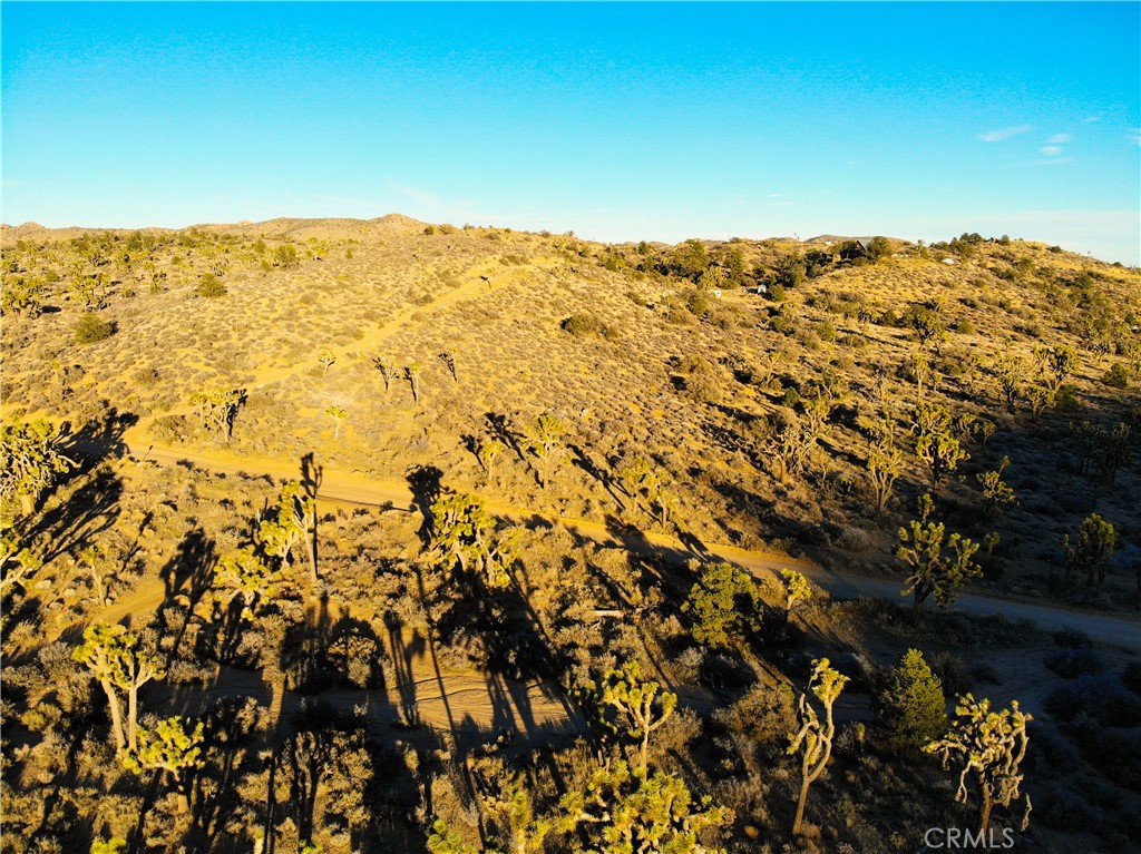 1352 Orion Trl, Pioneertown, CA 92268