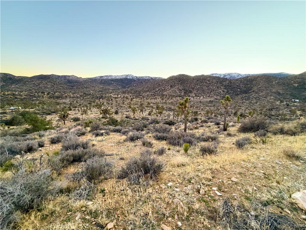 1352 Orion Trl, Pioneertown, CA 92268