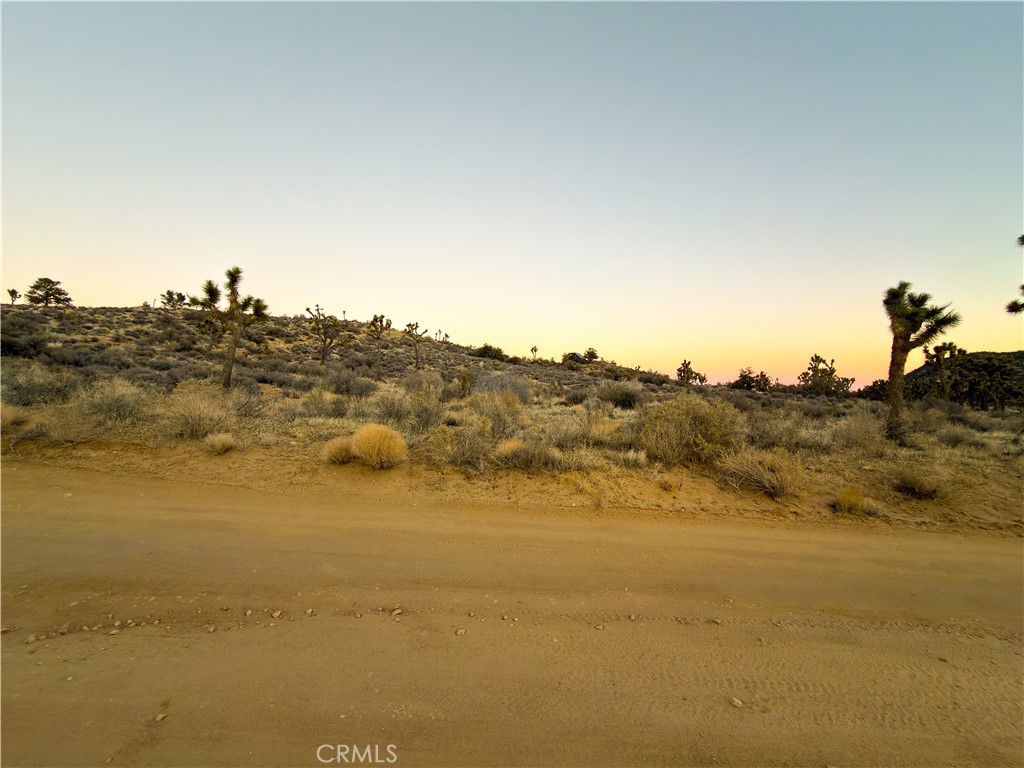 1352 Orion Trl, Pioneertown, CA 92268