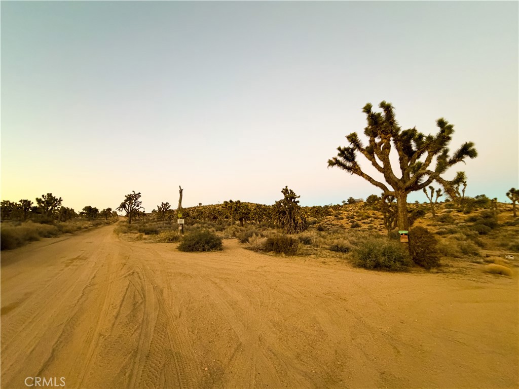 1531 Orion Trl, Pioneertown, CA 92268