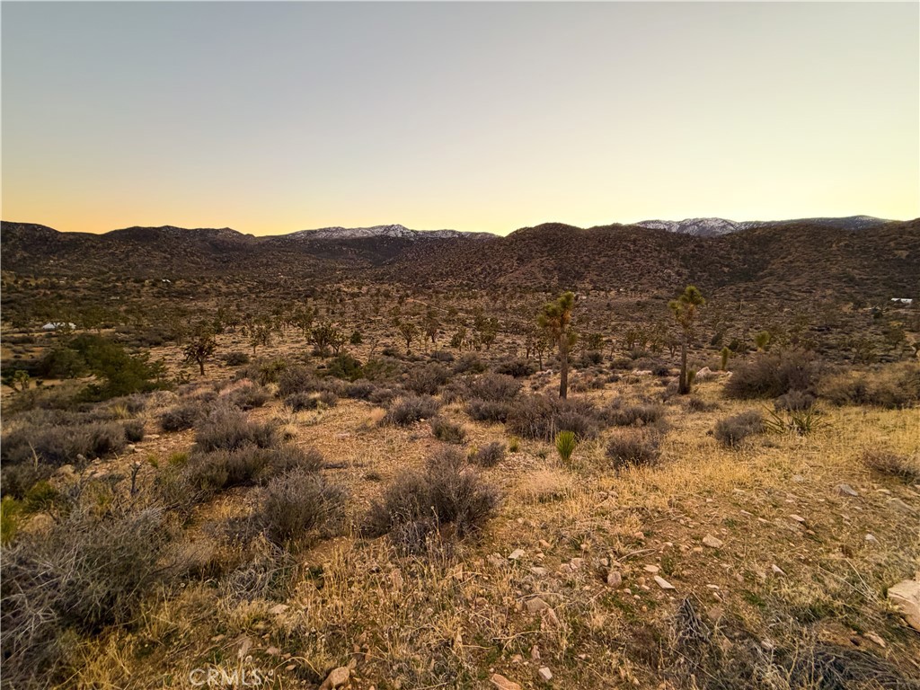 1531 Orion Trl, Pioneertown, CA 92268