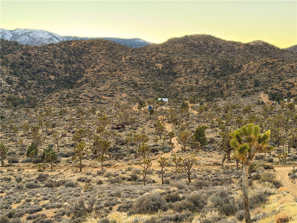 1352 Orion Trl, Pioneertown, CA 92268