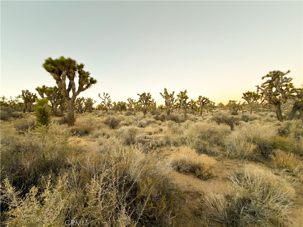 1352 Orion Trl, Pioneertown, CA 92268