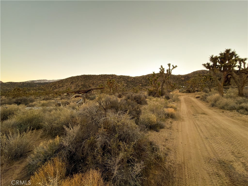 1352 Orion Trl, Pioneertown, CA 92268