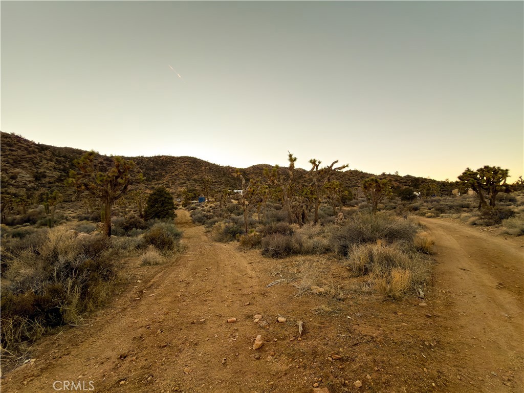 1352 Orion Trl, Pioneertown, CA 92268