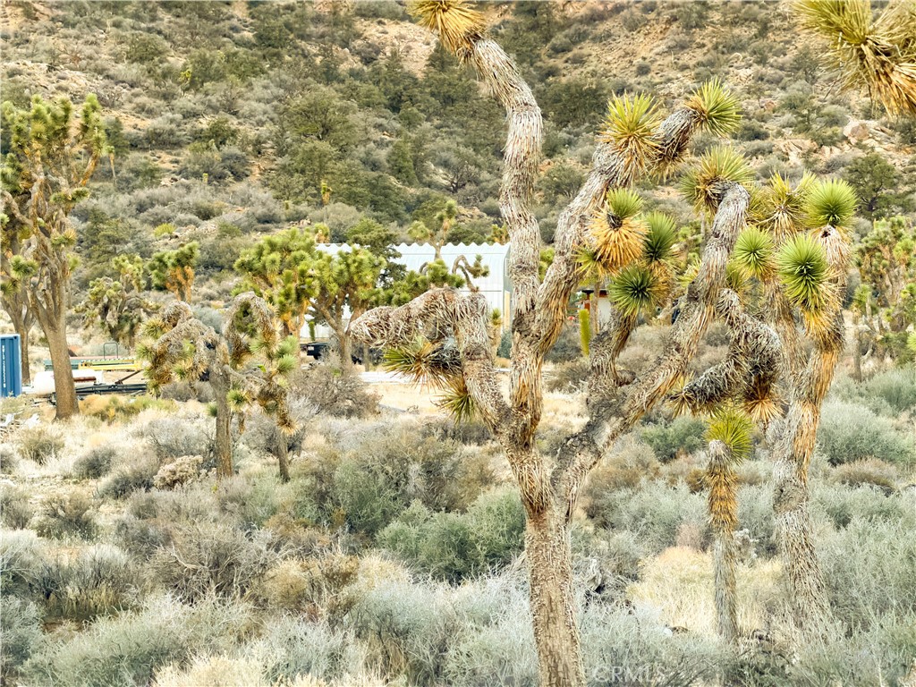 1352 Orion Trl, Pioneertown, CA 92268