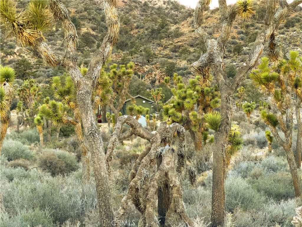 1352 Orion Trl, Pioneertown, CA 92268