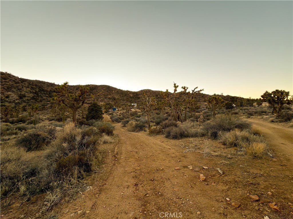 1352 Orion Trl, Pioneertown, CA 92268