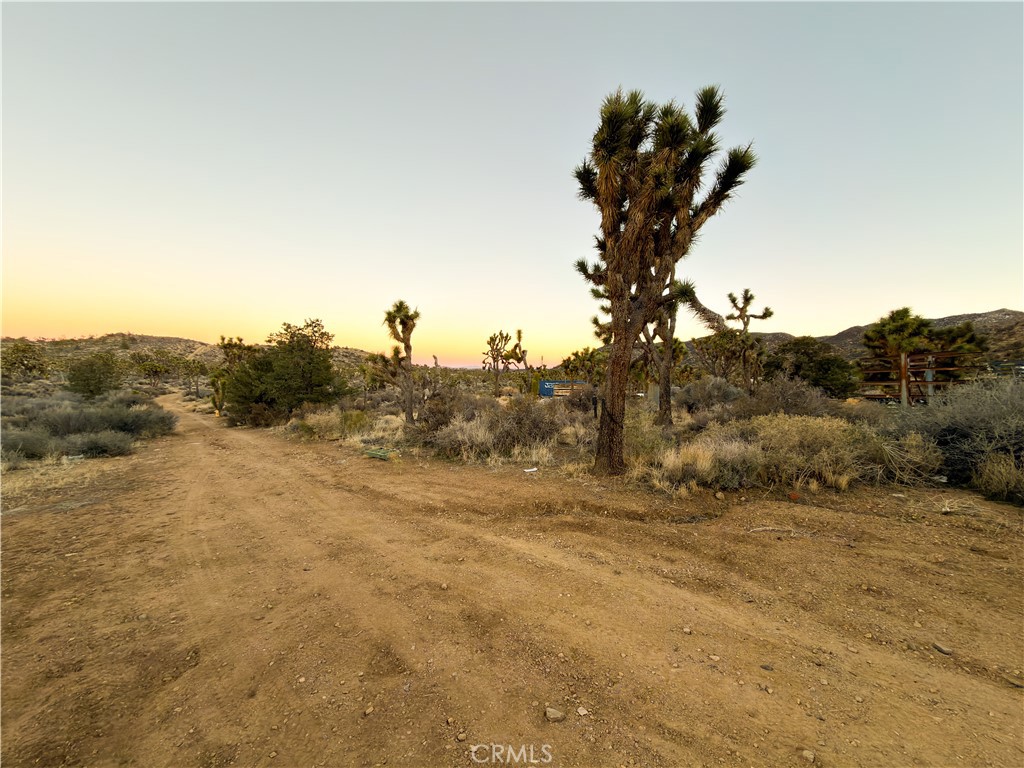 1352 Orion Trl, Pioneertown, CA 92268