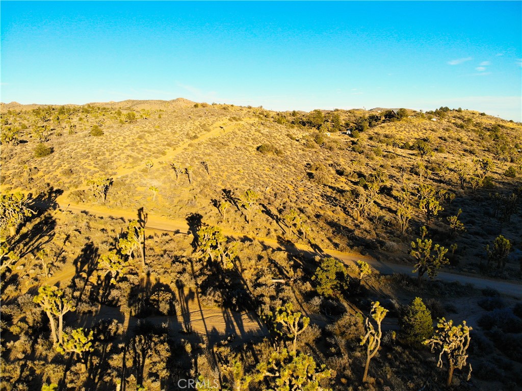 1352 Orion Trl, Pioneertown, CA 92268