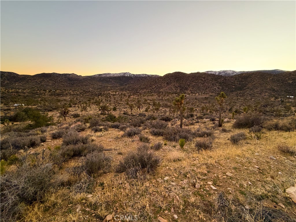 1352 Orion Trl, Pioneertown, CA 92268