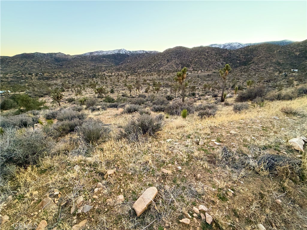 1352 Orion Trl, Pioneertown, CA 92268