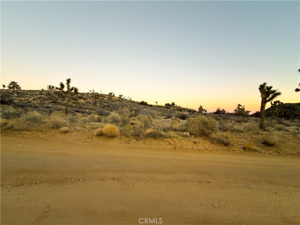 1352 Orion Trl, Pioneertown, CA 92268