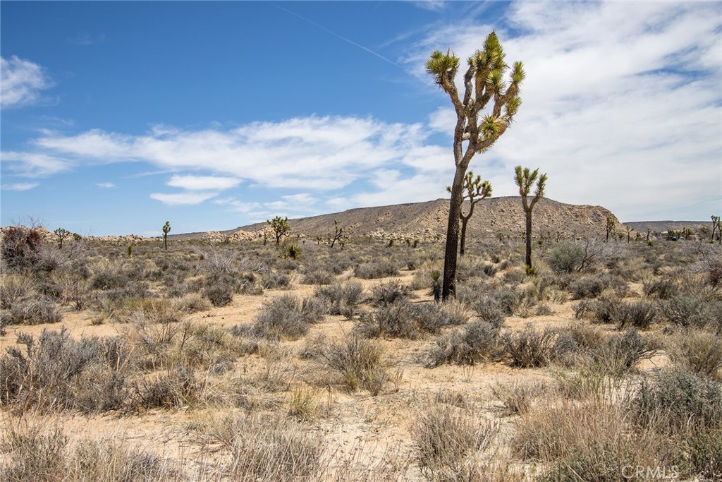 52552 Gamma Gulch, Pioneertown, CA 92284