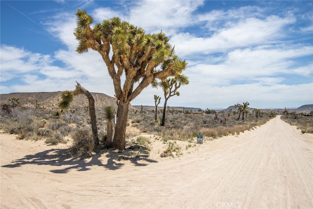 52552 Gamma Gulch, Pioneertown, CA 92284