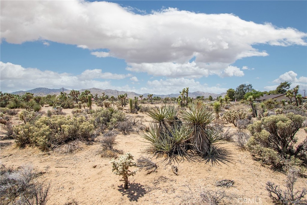 52552 Gamma Gulch, Pioneertown, CA 92284