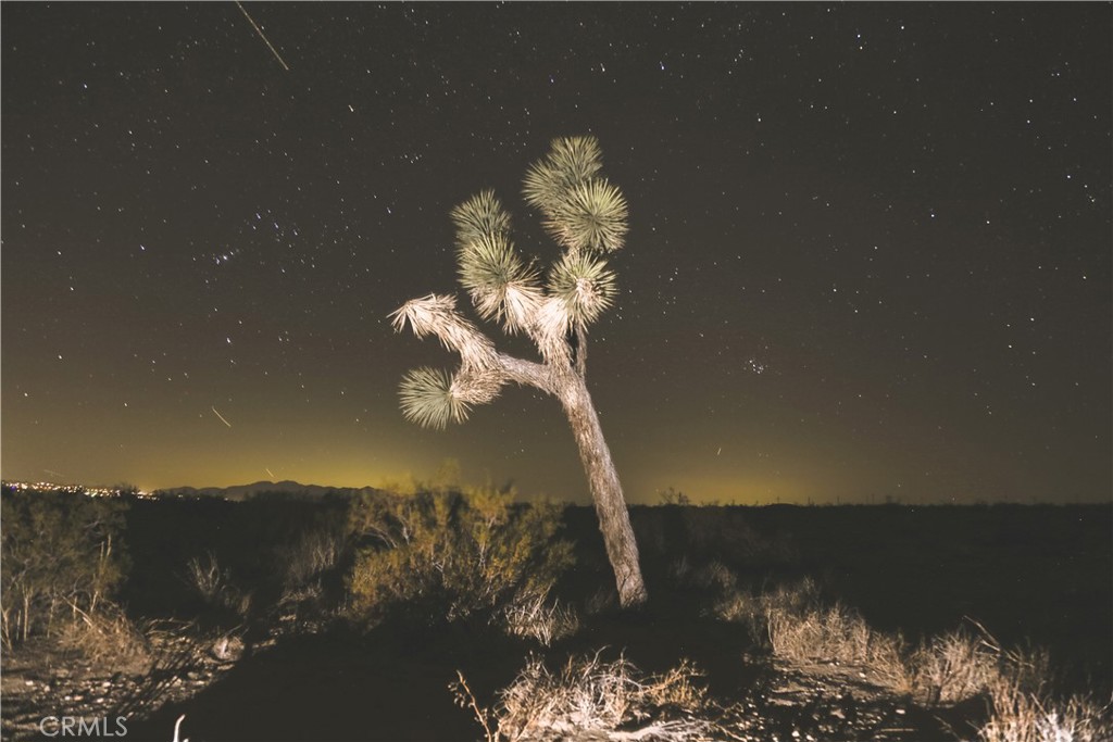 52552 Gamma Gulch, Pioneertown, CA 92284