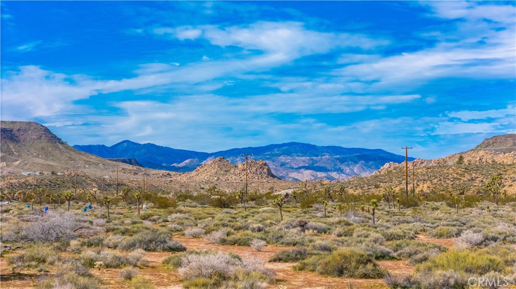 55455 Pipes Canyon, Pioneertown, CA 92268