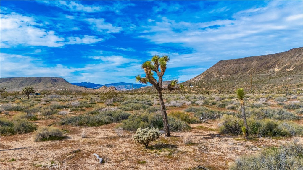 55455 Pipes Canyon, Pioneertown, CA 92268