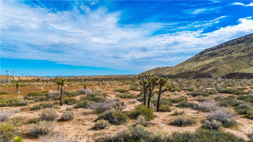55455 Pipes Canyon, Pioneertown, CA 92268