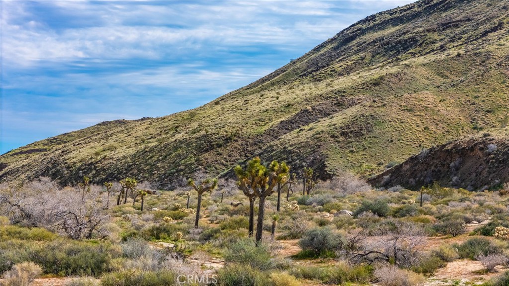 55455 Pipes Canyon, Pioneertown, CA 92268