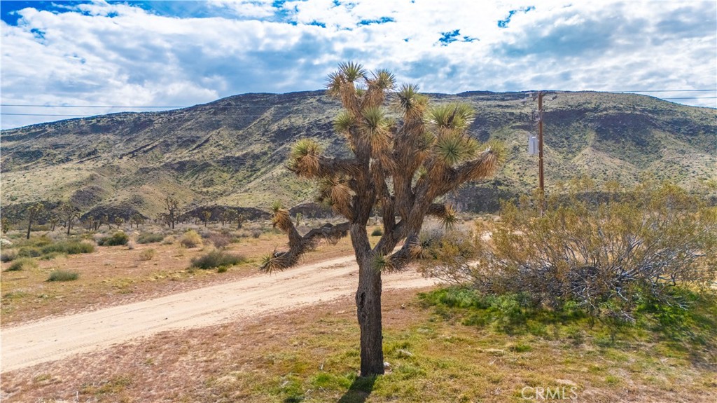 55455 Pipes Canyon, Pioneertown, CA 92268