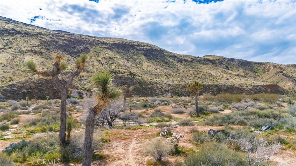 55455 Pipes Canyon, Pioneertown, CA 92268