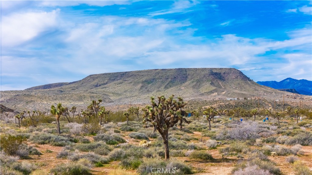 55455 Pipes Canyon, Pioneertown, CA 92268