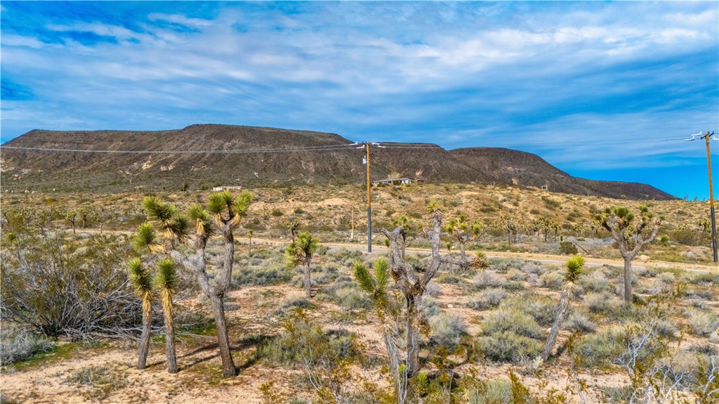 55455 Pipes Canyon, Pioneertown, CA 92268