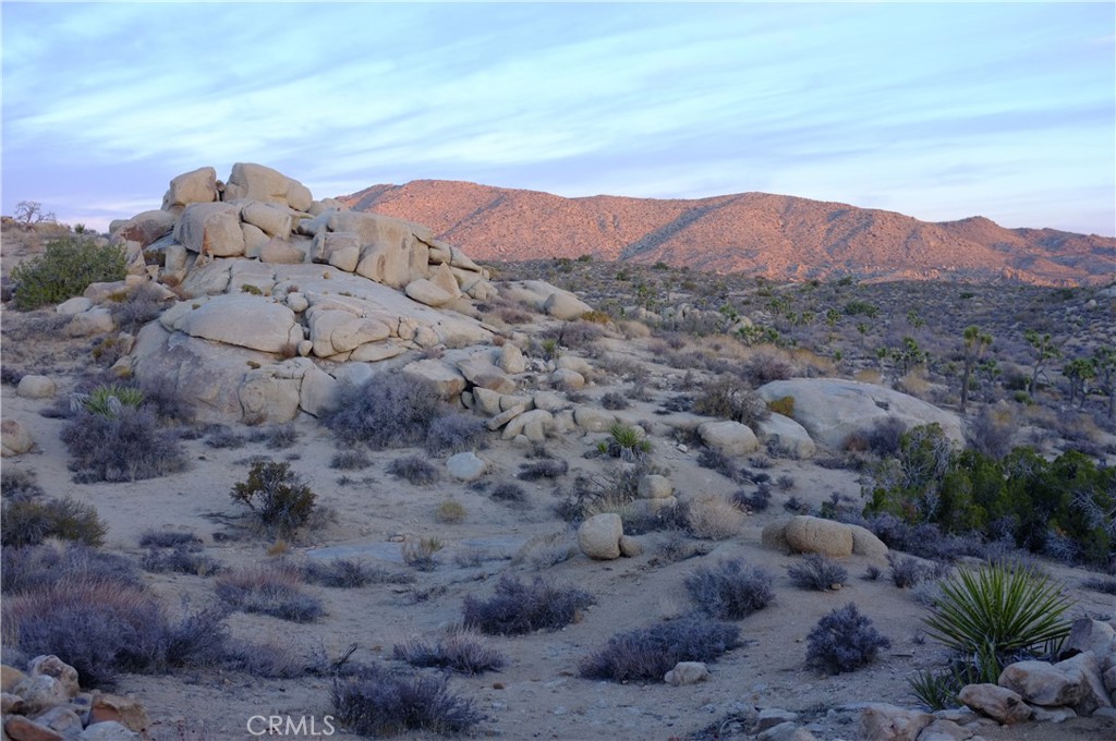 52588 Blackbrush Rd, Pioneertown, CA 92268