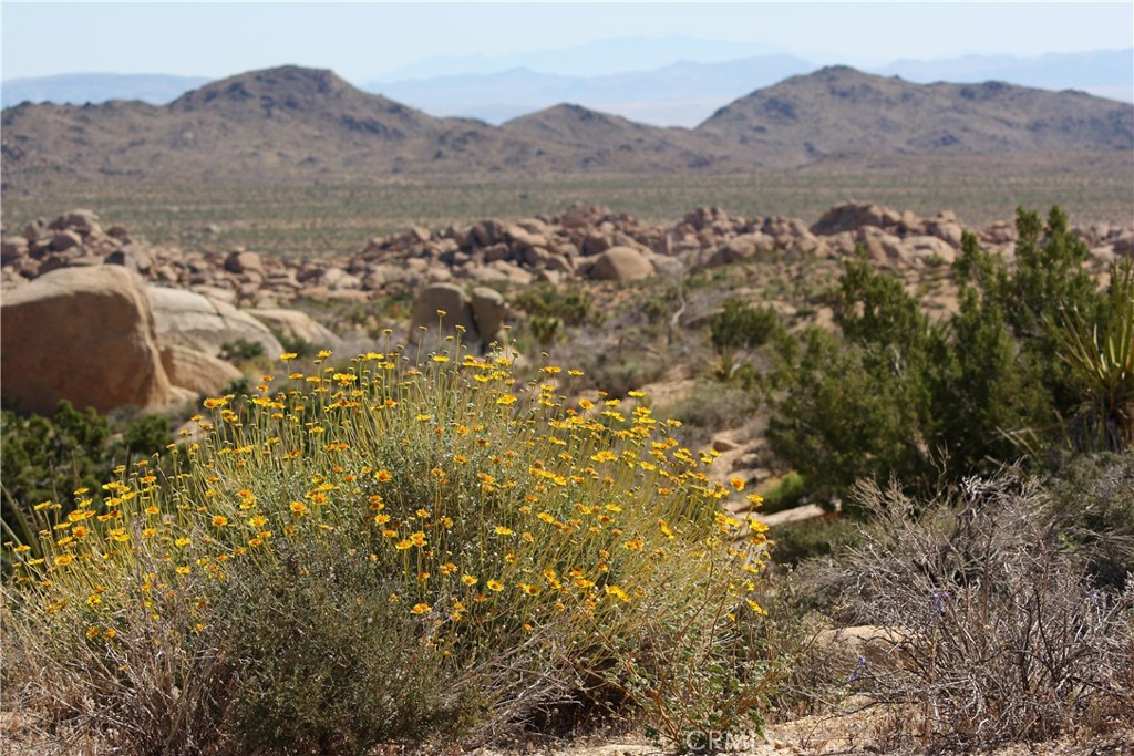 52588 Blackbrush Rd, Pioneertown, CA 92268