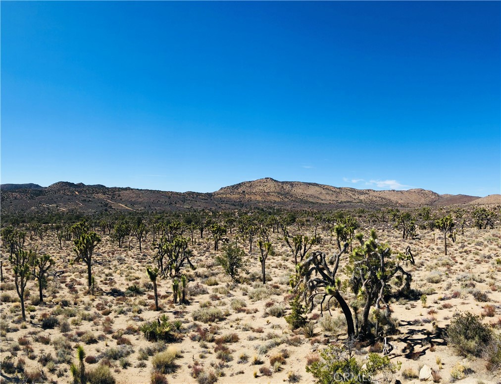 26 Vista Rd, Pioneertown, CA 92356