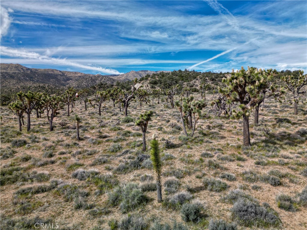 26 Vista Rd, Pioneertown, CA 92356